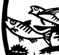Fishmonger