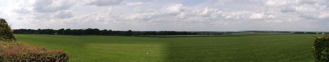 wide field